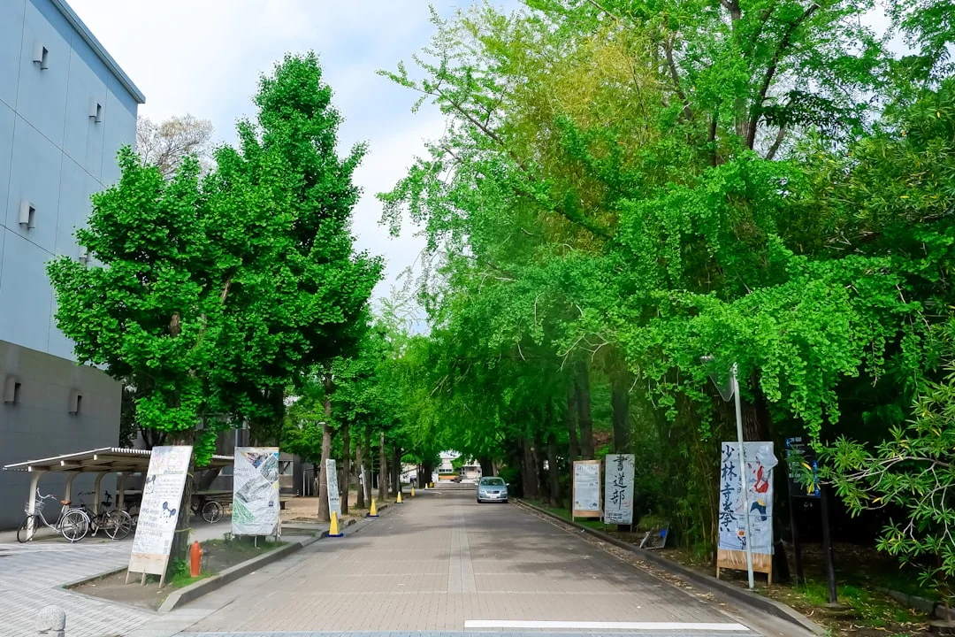 大学のキャンパスを歩く薬学部の学生